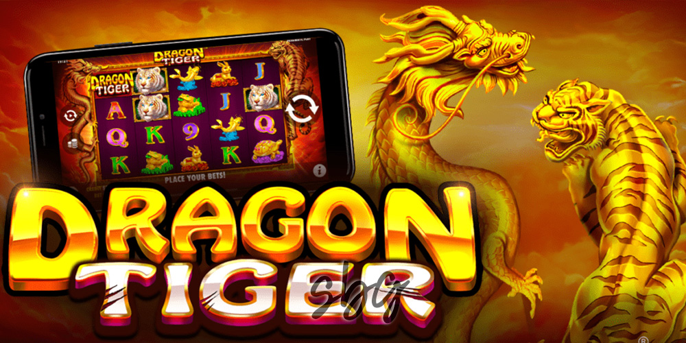 Dragon Tiger Terbaik